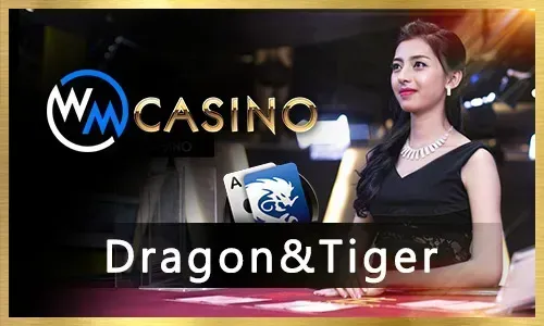 24/7 Customer Support at Bingoplus